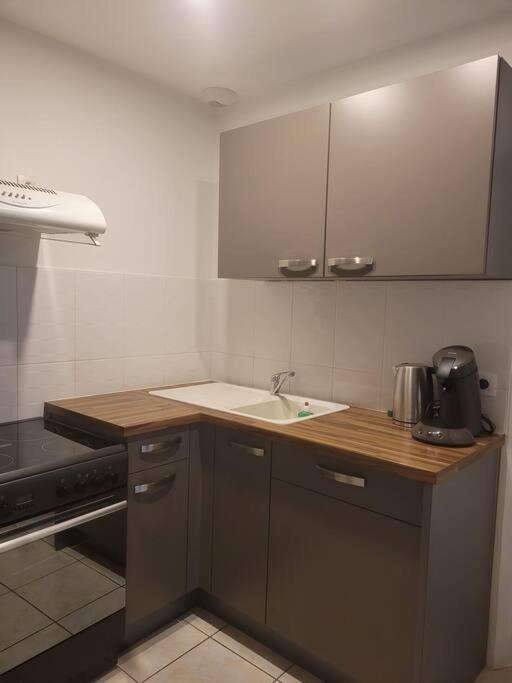 Appartement Sur La Place De Poncin ภายนอก รูปภาพ