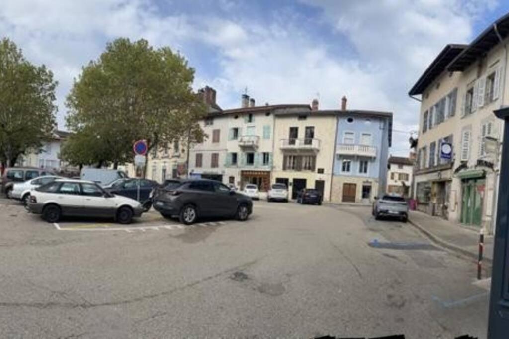Appartement Sur La Place De Poncin ภายนอก รูปภาพ